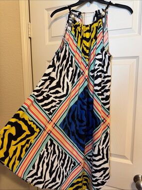 MSK Bold Multi-Color Zebra Print Dress